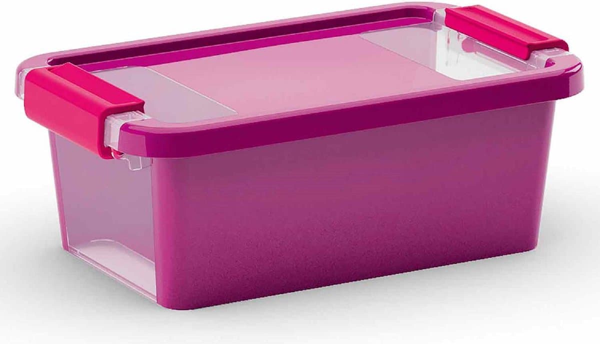 Kis Bi-Box - Opbergbox - XS - VIOLET - 3L - 26.5x16x10cm - Kunststof
