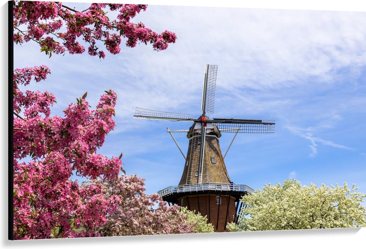 Canvas - Bloesembomen voor Traditione Molen in Nederland - 150x100 cm Foto op Canvas Schilderij (Wanddecoratie op Canvas)