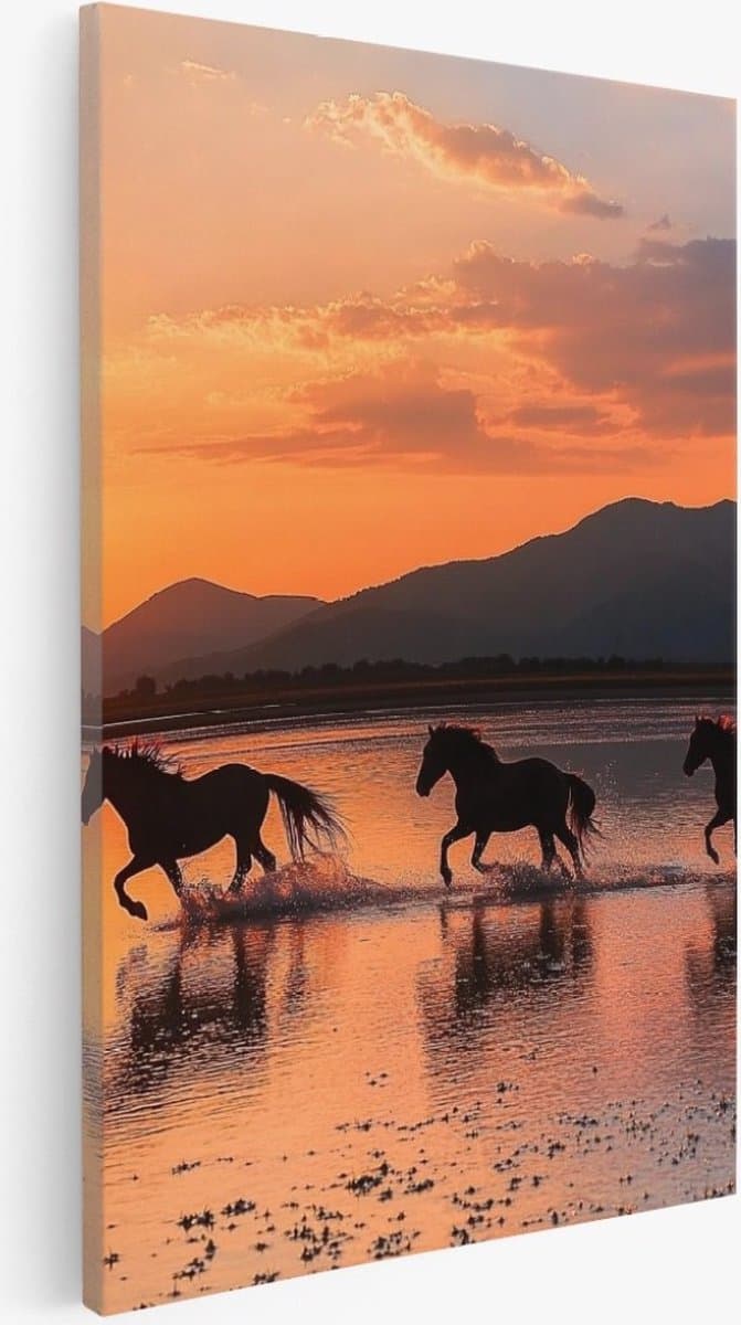 Saammp - Canvas Schilderij - Paarden in galop door het water - Natuur - Dieren - 40x60 - Foto op canvas - Wanddecoratie - Muurdecoratie Woonkamer - Slaapkamer decoratie - Canvas Print