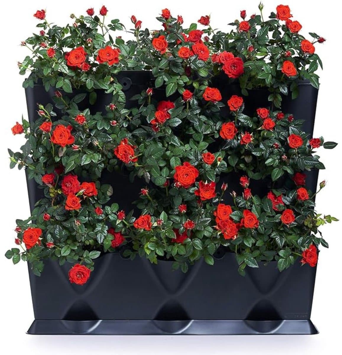 Zylo® Verticale Tuin met Watersysteem - Verticale Moestuin - Watersysteem - Zwart - 19cm x 65cm x 57cm