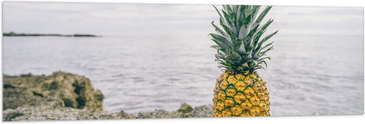 Vlag - Ananas - Rotsen - Zee - Golven - 150x50 cm Foto op Polyester Vlag