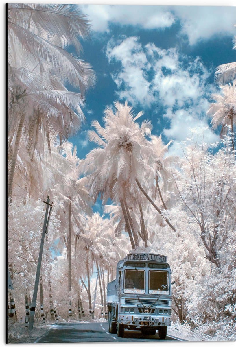 Dibond - Wit Busje Rijdend tussen de Witte Palmbomen onder Schapenwolken - 50x75 cm Foto op Aluminium (Wanddecoratie van metaal)