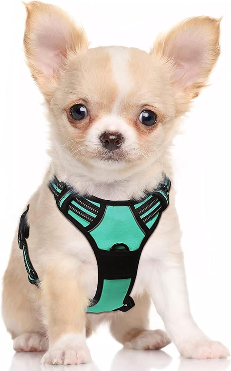 Hondenharnas Middelgrote honden Anti-trekharnas met controle Geen trek Verstelbaar hondentuig Grote honden Ademende reflecterende strips Borstharnas Hondenveilige gids Groen S