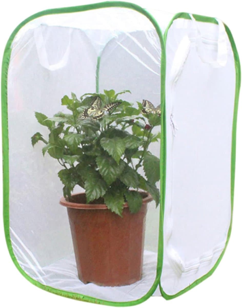 Mesh Kooi voor Planten en Vlinders - Groene Kas Met Ritssluiting - Insectenverblijf Habitat met Mesh Design