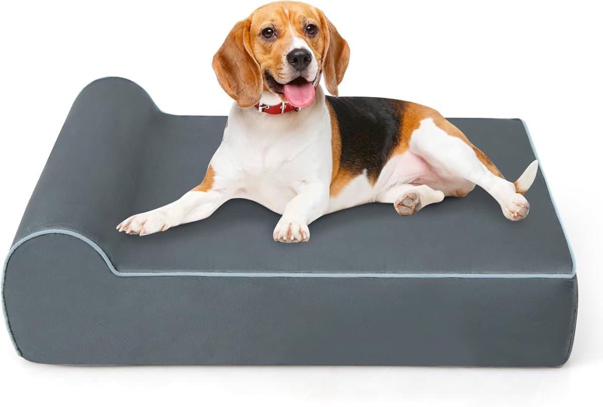 COSTWAY Orthopedisch hondenbed, hondenbank met rand, traagschuim, wasbaar en antislip, voor middelgrote en grote honden en katten, kattenbed, kattenbank indoor, 100 x 81 x 20 cm, grijs