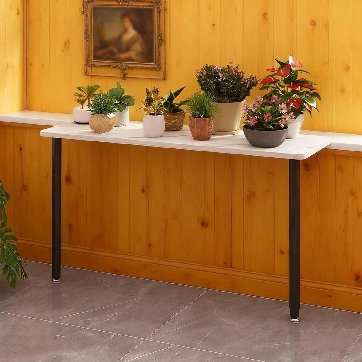 Plantenstandaard Vensterbank - Bloempotrek Keukenrek - Planten Zonnebaden - Uitschuifbaar Verstelbaar - 70 x 30 cm - Zwart