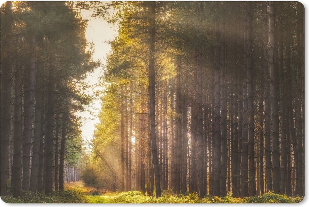 Muismat XXL 90x60 cm - Bureau onderlegger - Bureau mat Boom - Gras - Zon - Bureaumat - Gaming mousepad xl - Bureaulegger groot - Computer deskmat