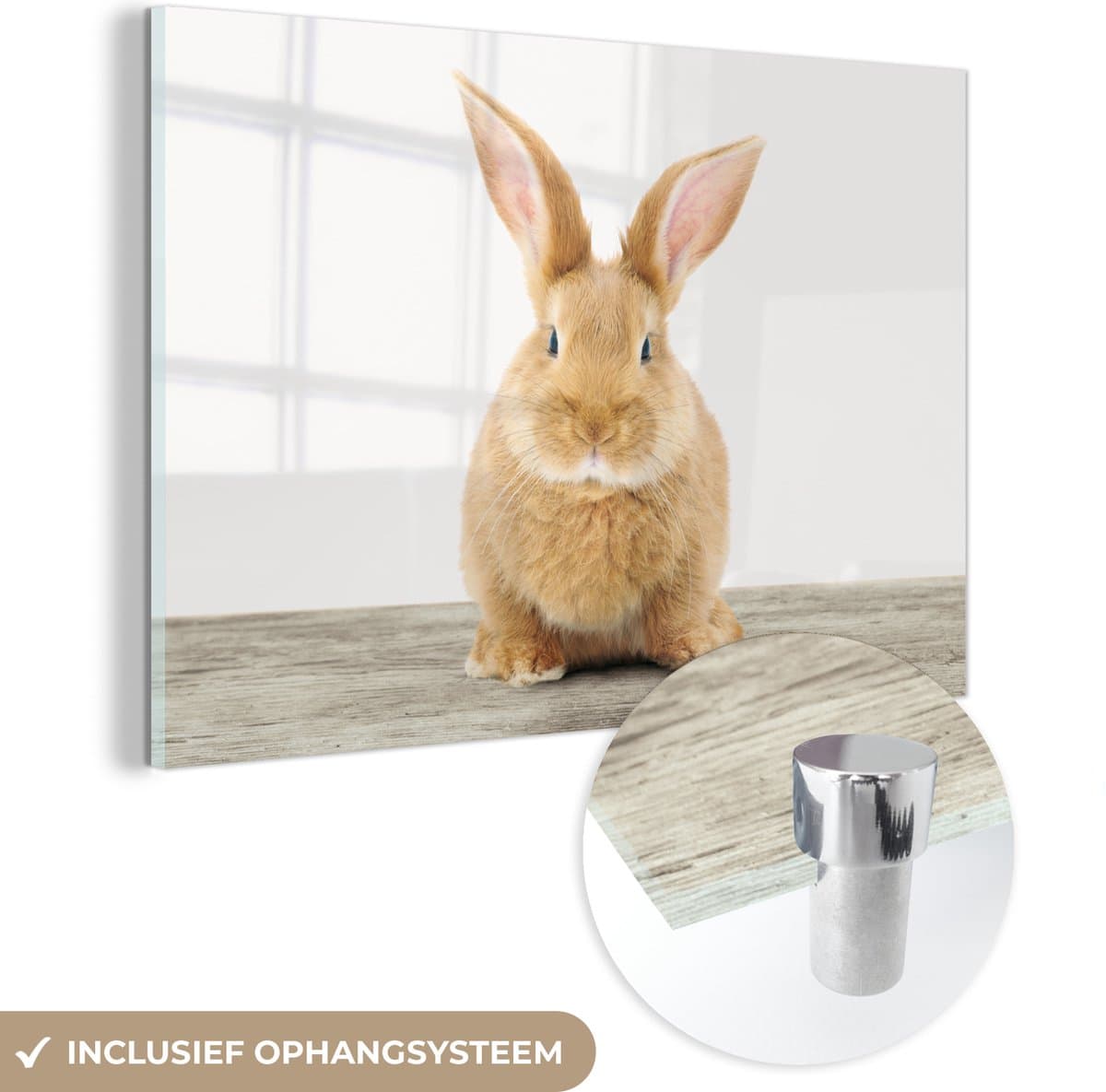 MuchoWow® Glasschilderij 90x60 cm - Schilderij acrylglas - Konijn - Baby konijn - Dieren - Kind - Meisjes - Jongens - Foto op glas - Schilderijen