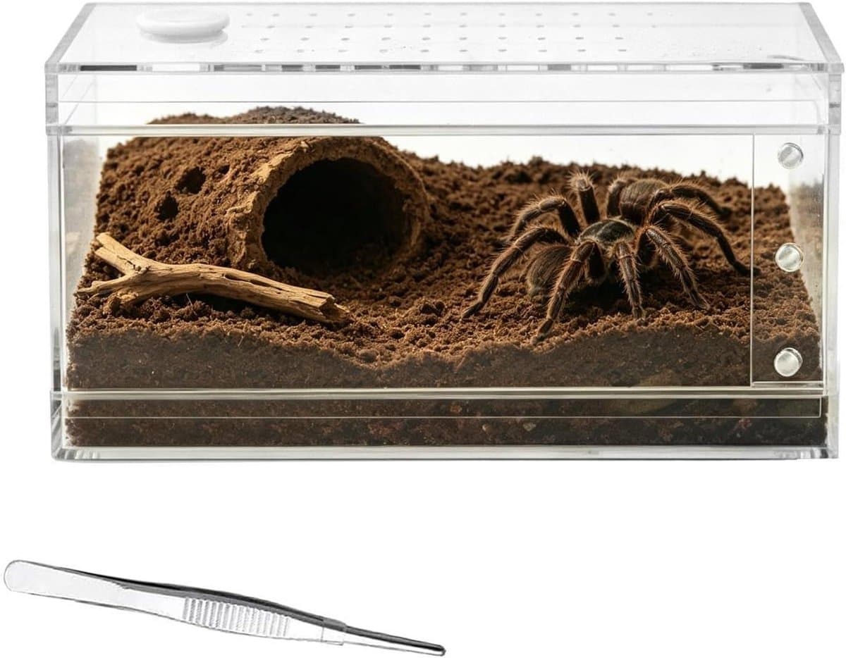 Reptielen Terrarium - Hagedissenkooi Spin Tank - Huisdieren Huisvesten - Luchtdoorlatend Acryl - 10.2x20.3x10.2cm - Transparant