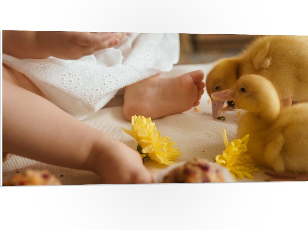 PVC Schuimplaat- Baby - Voetjes - Jurkje - Bloemen - Cakejes - Dieren - Eendjes - 100x50 cm Foto op PVC Schuimplaat