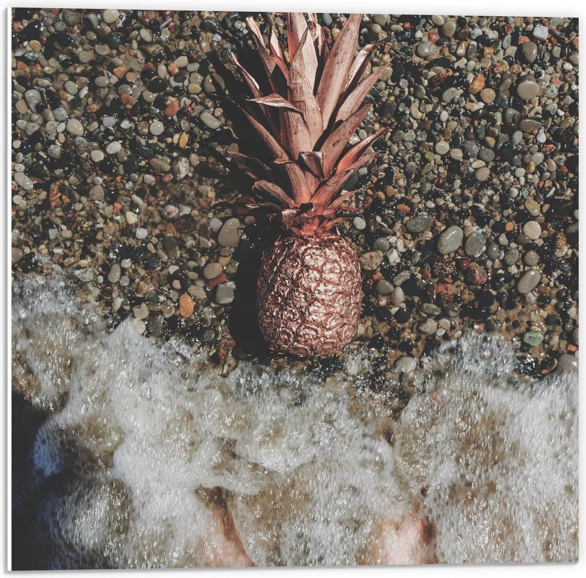 Forex - Gouden Ananas Spoelt aan - 50x50cm Foto op Forex