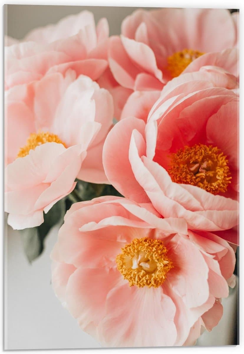 Acrylglas - Roze Bloemen - 40x60cm Foto op Acrylglas (Met Ophangsysteem)