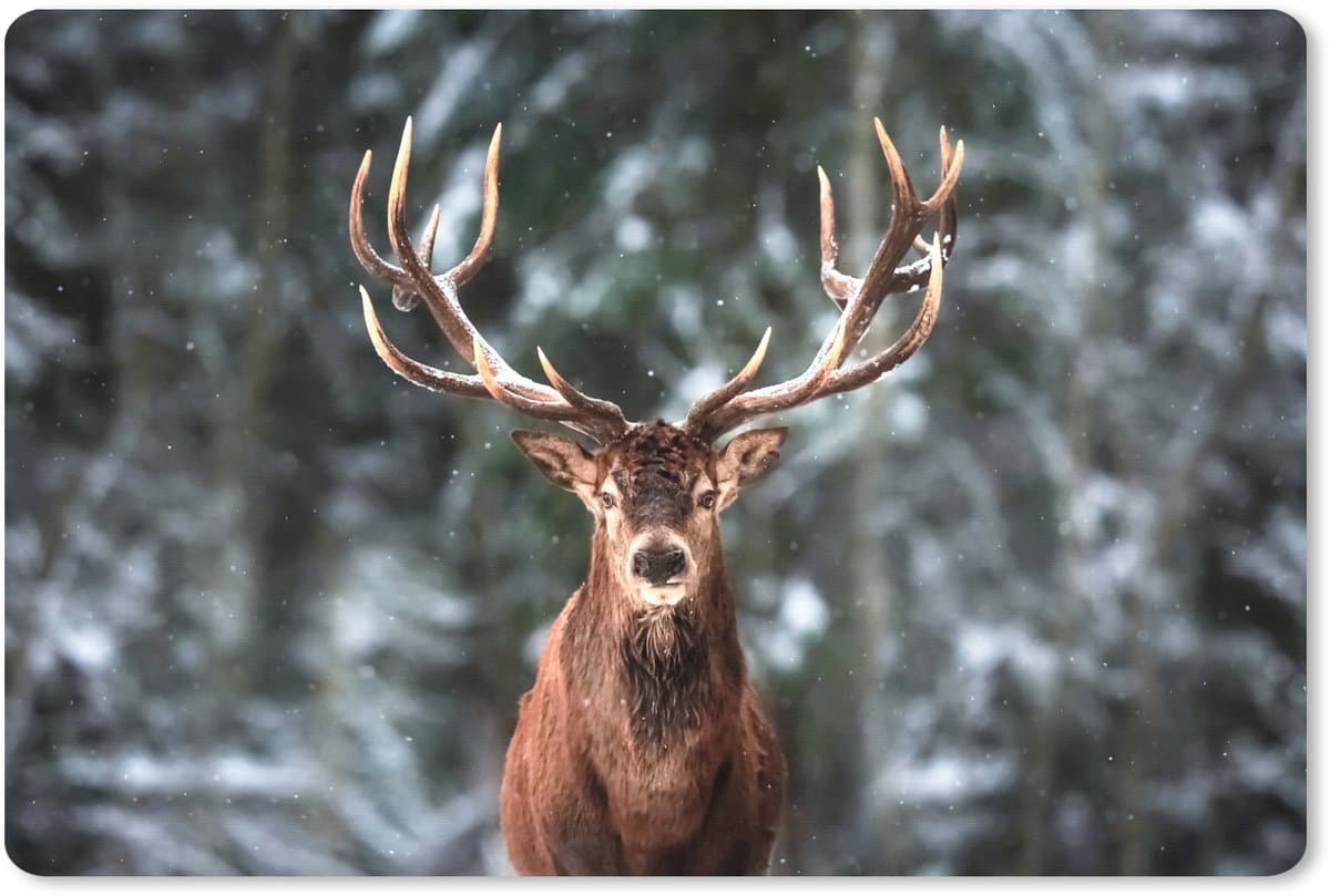 Muismat XXL 120x80 cm - Bureau onderlegger - Bureau mat Hert - Winter - Sneeuw - Bos - Natuur - Dier - Bureaumat - Gaming mousepad xl - Bureaulegger groot - Computer deskmat