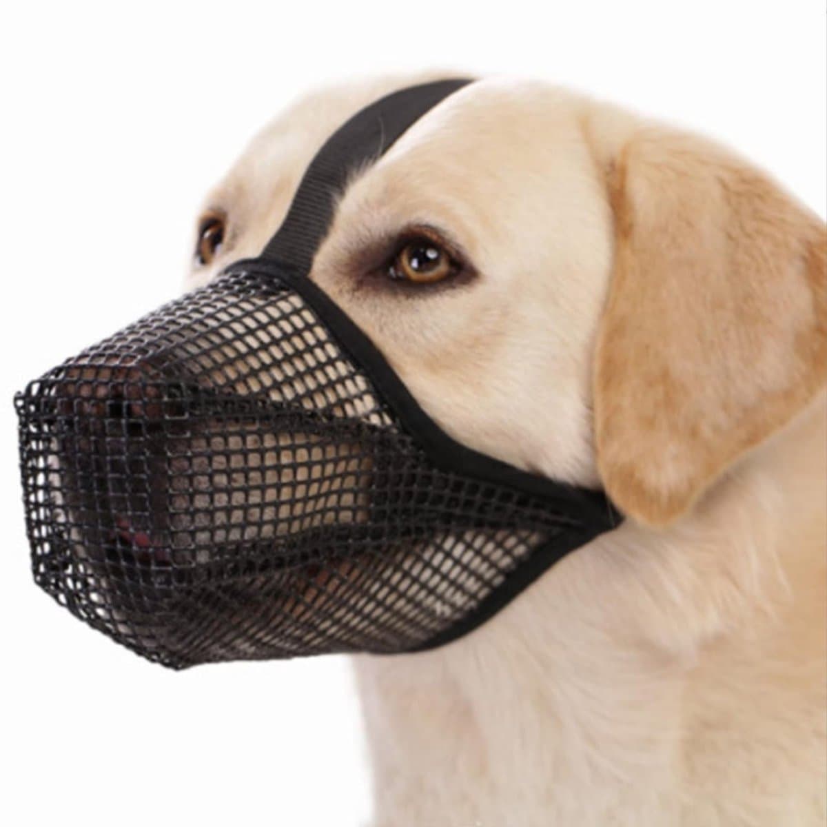 Dailygoods- Muilkorf Verstelbaar - Hondensnuit Zacht - Mesh Hondensnuit - Muilkorf Kleine/Middelgrote/Grote Hond - Duurzaam PVC - Veilig & Draagbaar