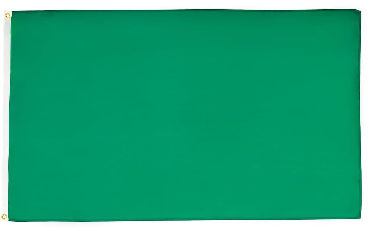 Vlag Wedstrijdleider groen 90x60 cm Polyester 100D 2 Ringen