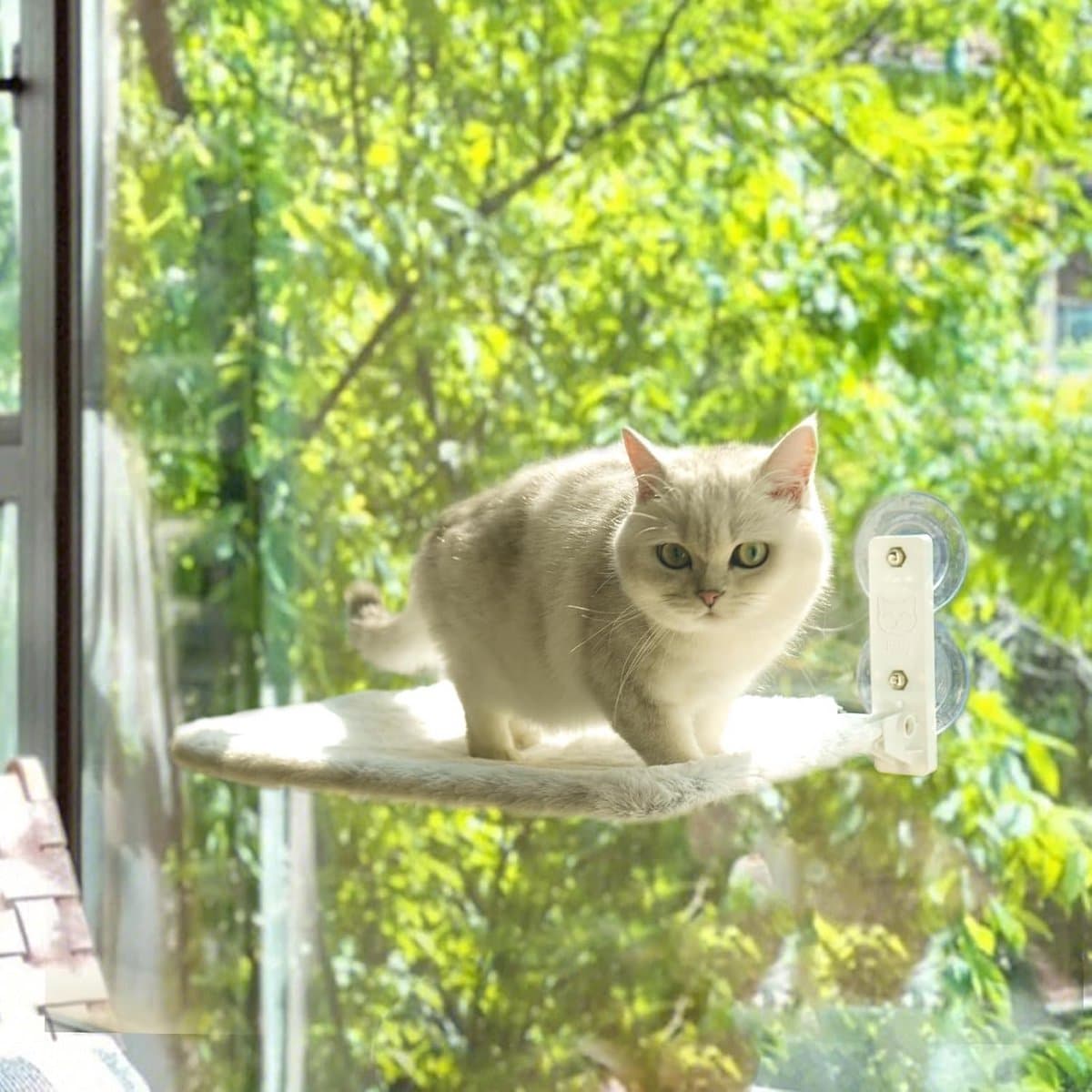Comfortabele Kattenhangmat voor Raam - Wit, Draadloze Installatie