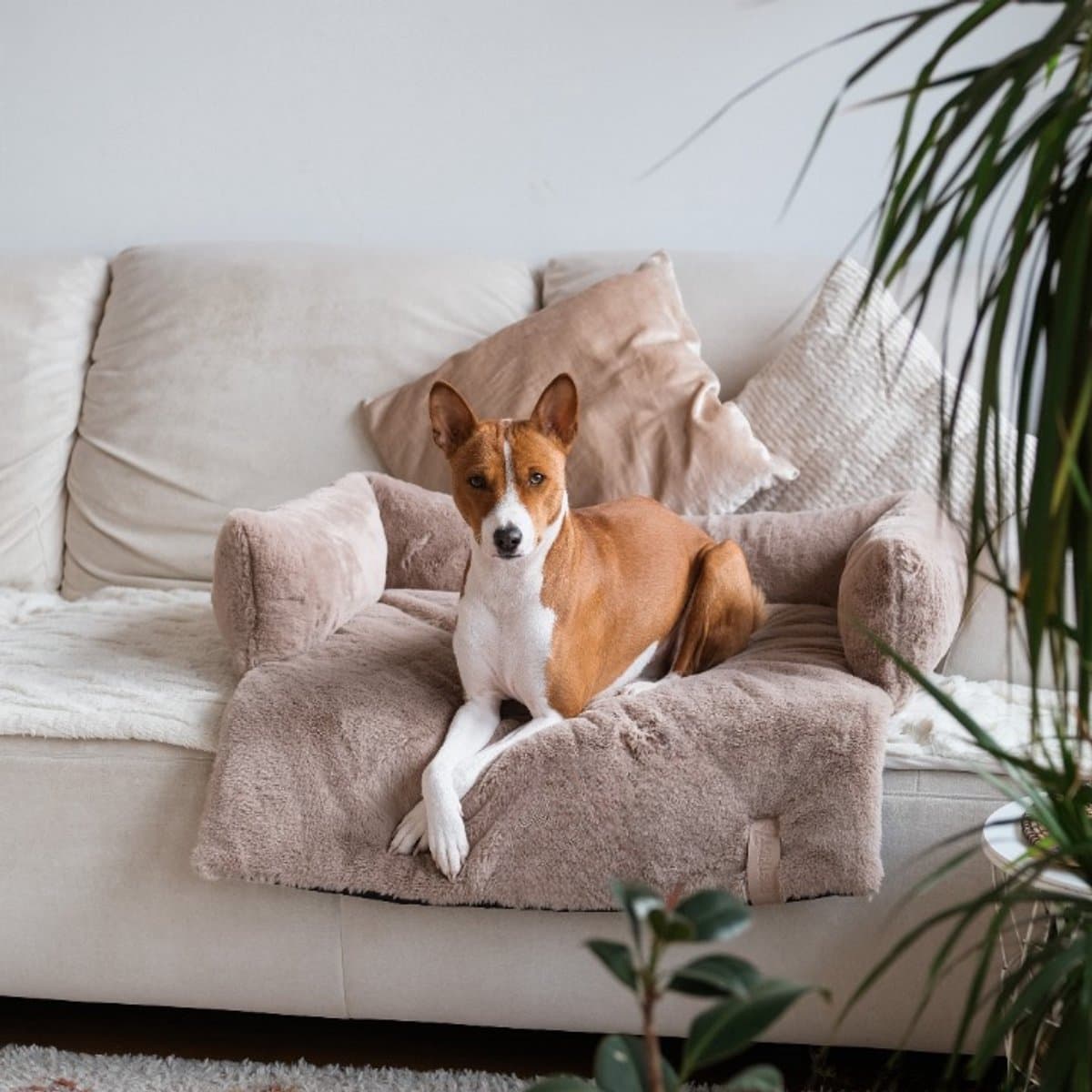 Hondendeken Bank - Hondenmand Bank - Hondendeken - Taupe - Maat S = 65 x 75 cm - Superzacht & Comfortabel S