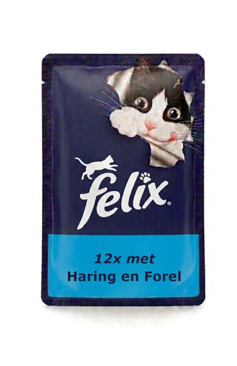 Felix Dubbel Zo Lekker Haring en Forel in Gelei - Monopack - 12x85g