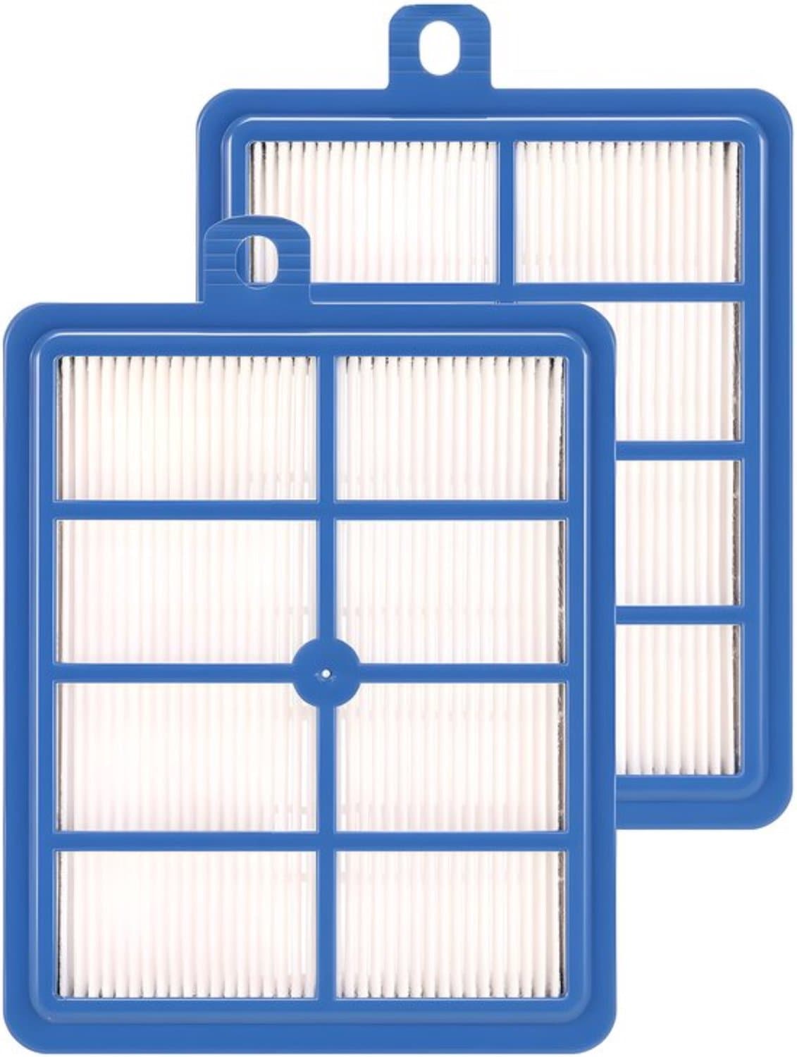 Knaak HEPA Stofzuigerfilter - 2 Stuks - Geschikt voor Philips AEG Electrolux - FC8031/01 - H12