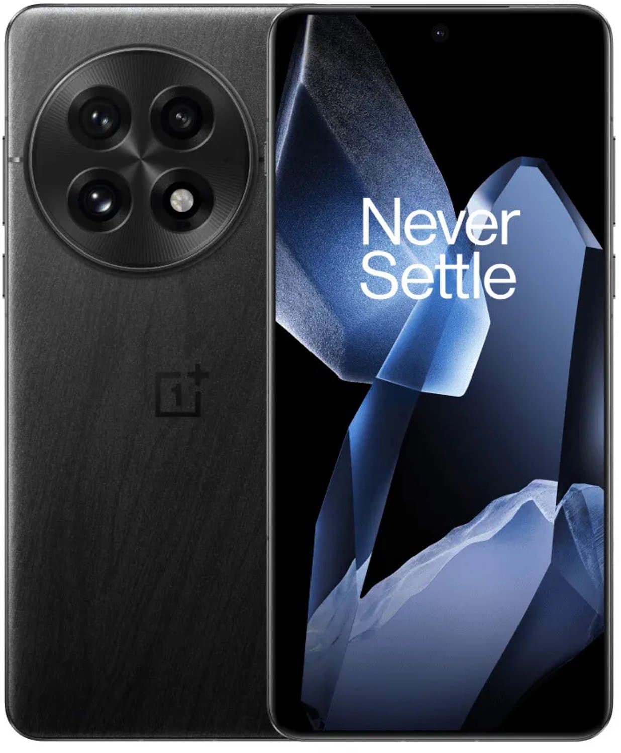 OnePlus 13 256GB Zwart 5G