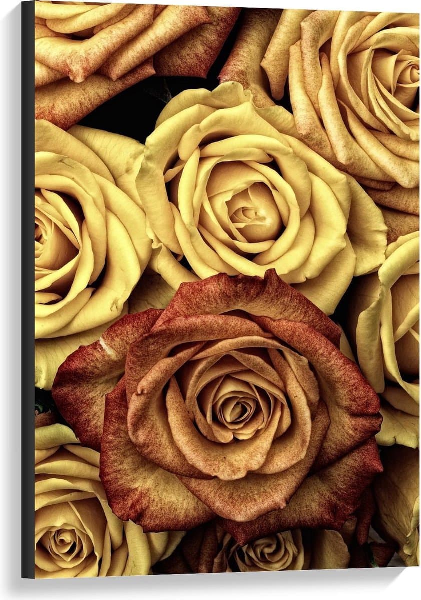 Canvas - Beige Kleurige Rozen - 60x90cm Foto op Canvas Schilderij (Wanddecoratie op Canvas)