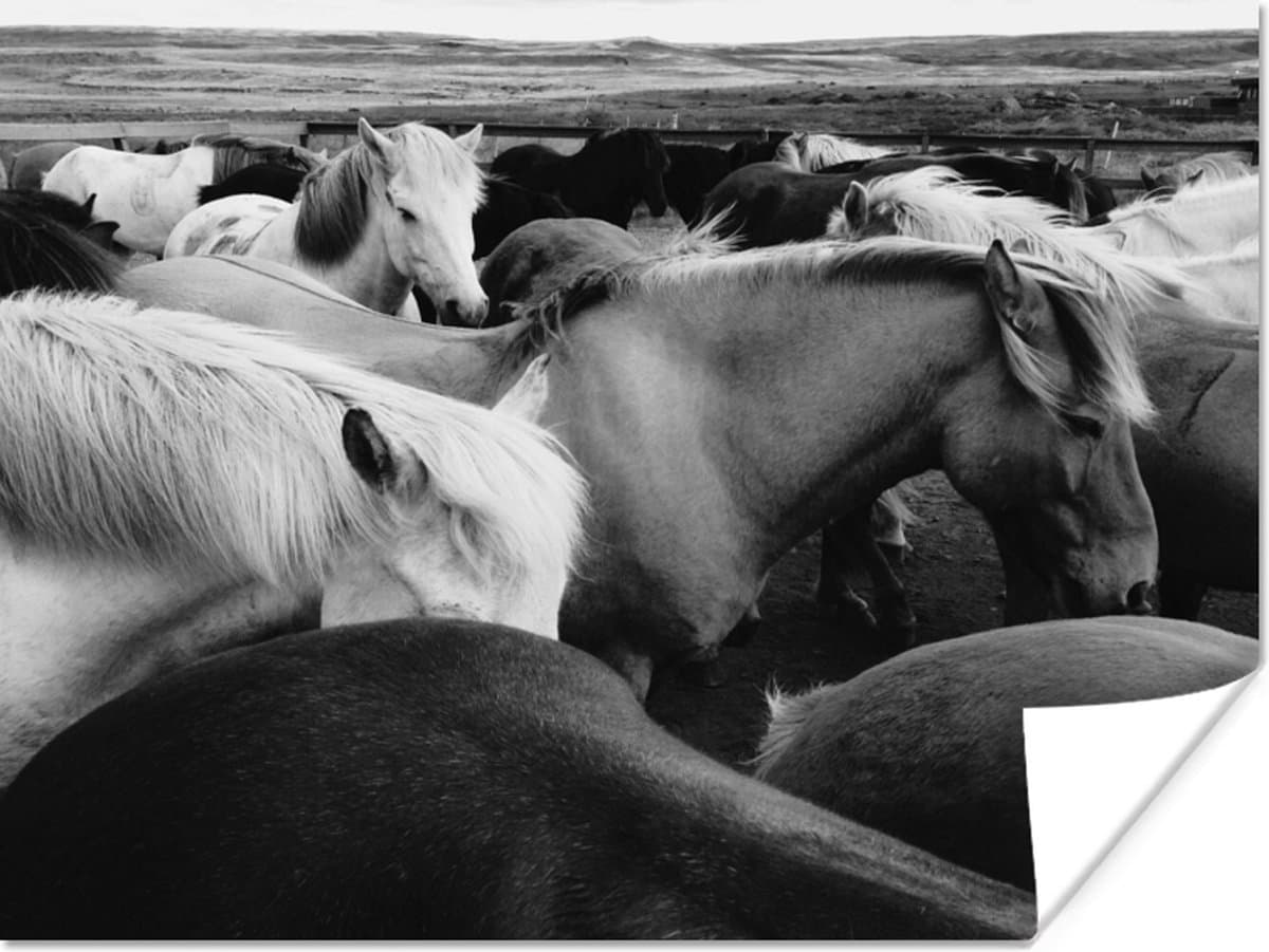 Poster 40x30 cm - Paarden - Wild - Zwart - Wit - Posters - Kamer decoratie - Wanddecoratie woonkamer - Muurdecoratie slaapkamer
