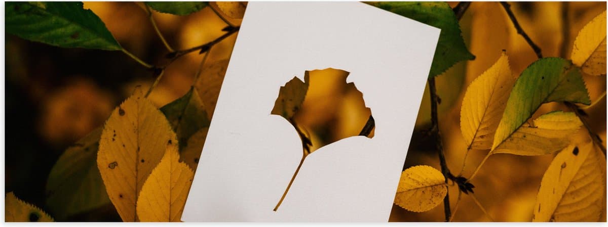 Poster (Mat) - Wit A4 met Uitgesneden Blad tegen Struik met Groen- Gele Bladeren - 90x30 cm Foto op Posterpapier met een Matte look