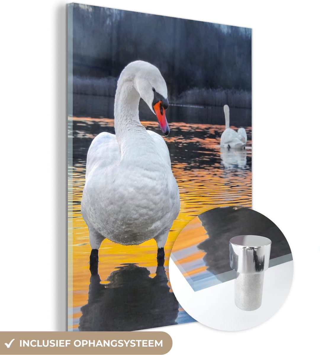 MuchoWow - Glasschilderij - Zwaan - Vogel - Zonsondergang - Water - Acrylglas - Foto op glas - 60x80 cm - Muurdecoratie - Glasschilderij vogels - Glasschilderij dieren