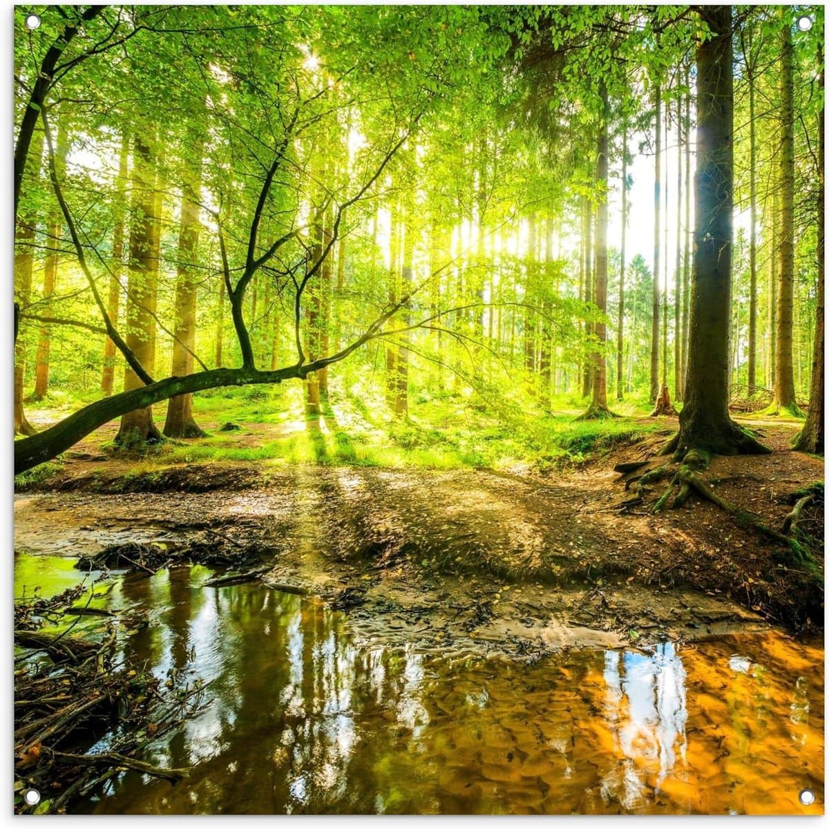 Tuinposter Groot - Buiten Decoratie - Tuin Aankleden - Weerbestendig PVC - 100x100 cm - Bos Groen