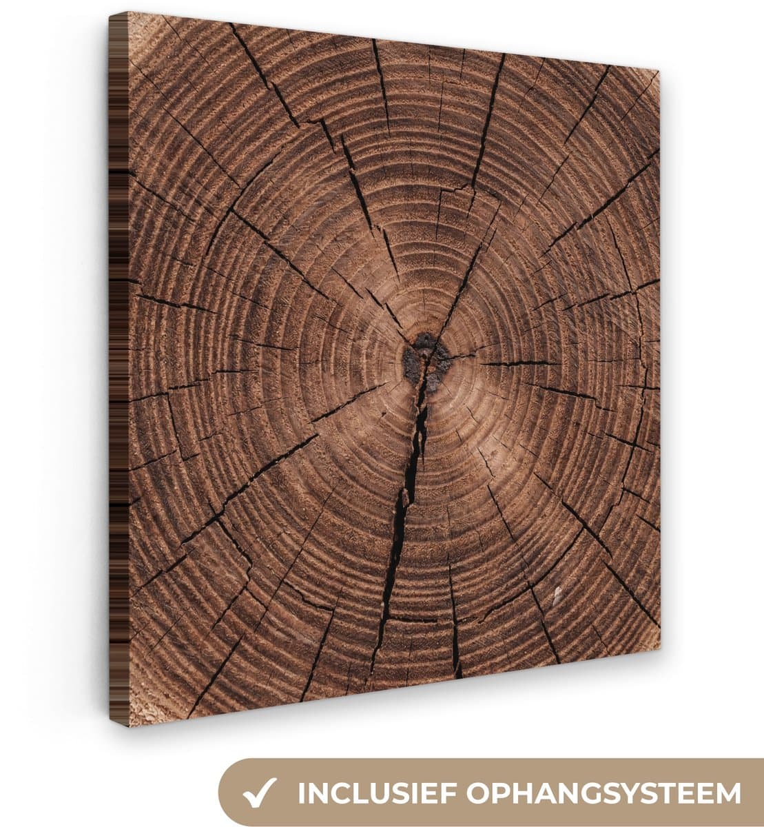 Canvas schilderij 20x20 cm - Exclusieve wanddecoratie Boom - Ringen - Bruin - Muurdecoratie woonkamer - Slaapkamer decoratie - Kamer accessoires - Schilderijen op canvas