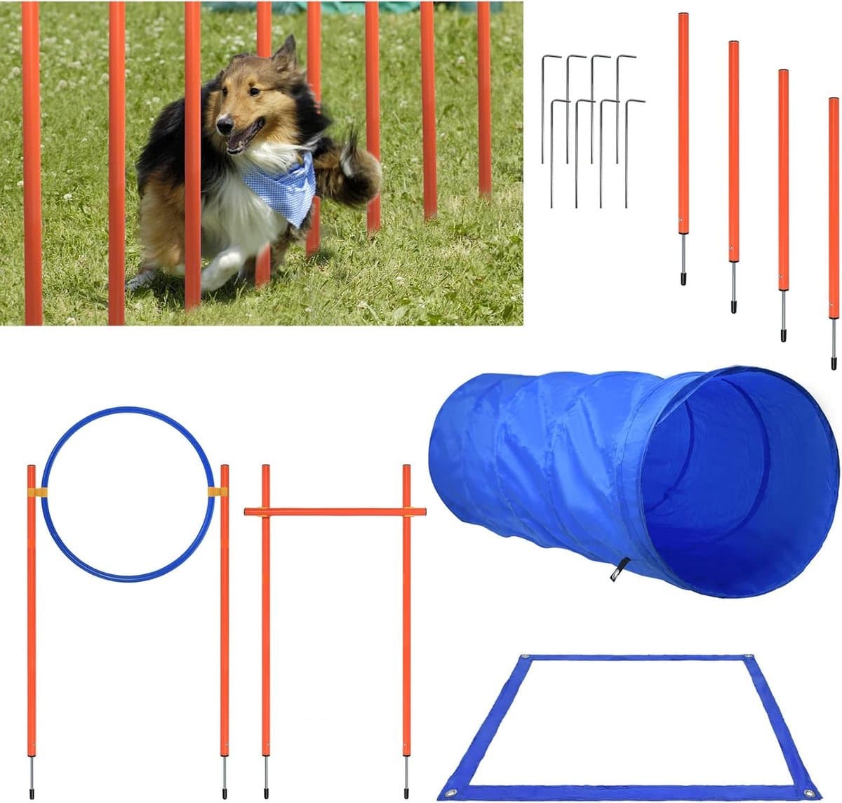 Hondentraining Agility Set met Tunnel, Horden en Springring - Compleet Trainingsmateriaal voor Honden