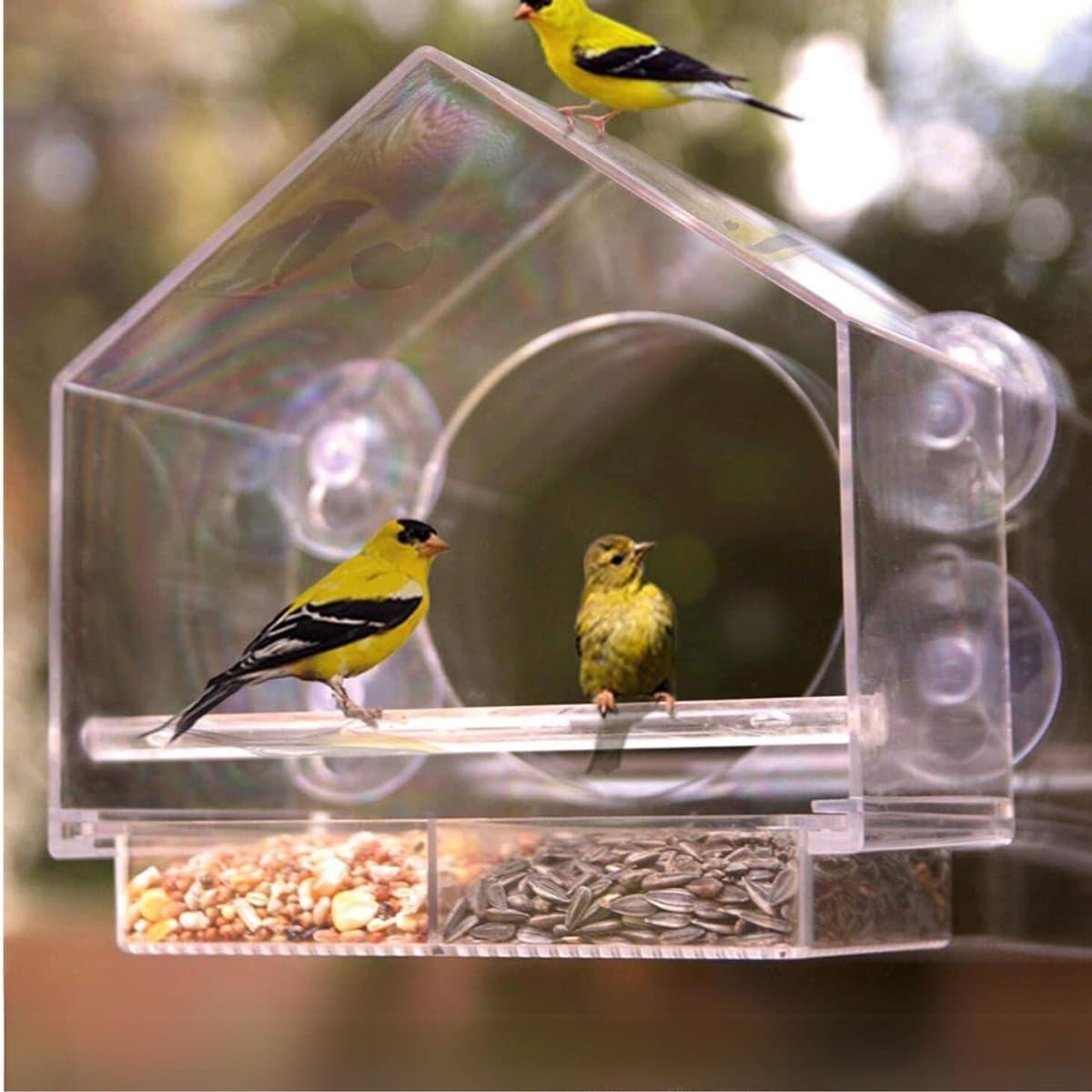 Florixa® Vogelvoederhuisje raam - Vogelhuisjes - Doorzichtig met Zuignap - Transparant - 21cm x 15cm x 22cm