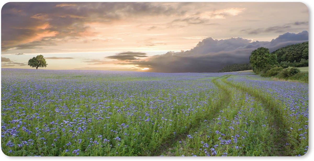 Muismat XXL 120x60 cm - Bureau onderlegger - Bureau mat Zonsondergang - Bloemen - Kleuren - Bureaumat - Gaming mousepad xl - Bureaulegger groot - Computer deskmat