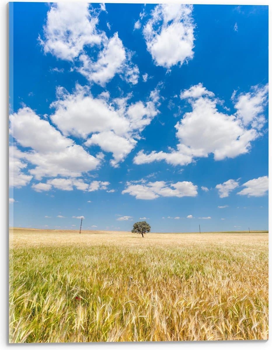 Acrylglas - Blauwe Lucht met Wolken en Boom - 30x40cm Foto op Acrylglas (Met Ophangsysteem)