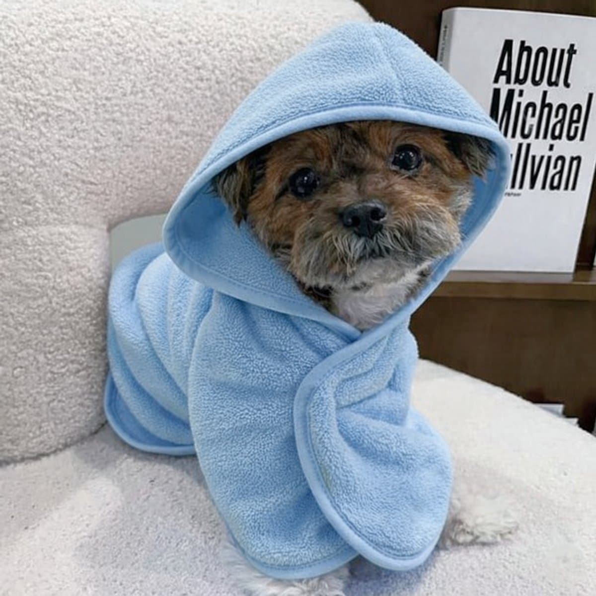 Ultiluxe® Hondenbadjas - Maat S - Blauw - Sneldrogend, zacht, absorberend - Microvezel honden badjas - Handdoek na een bad - Verstelbaar met capuchon - Droog maken hond - Ochtendjas met klittenband - Huisdieren