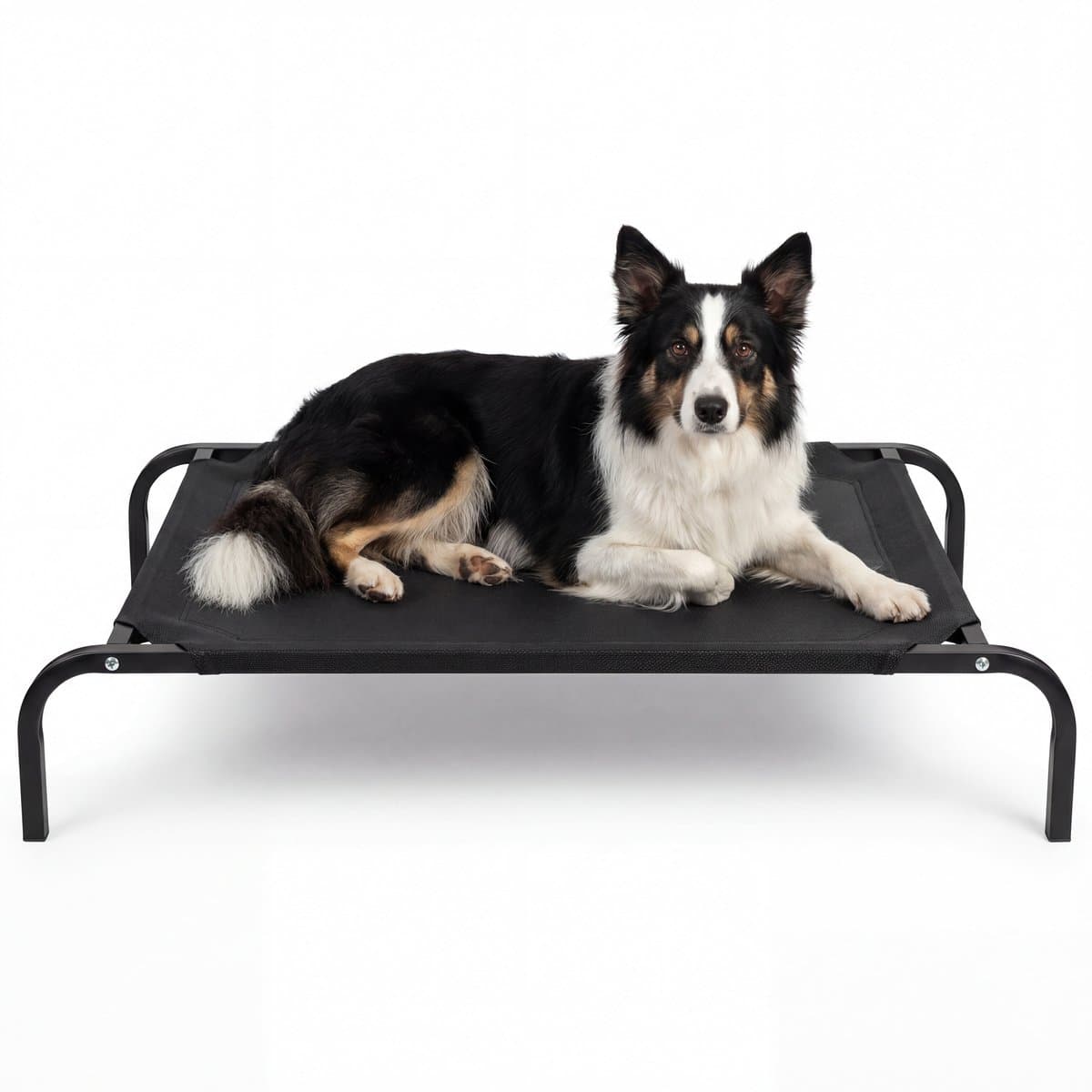 JAXY Hondenbed - Hondenstretcher Binnen & Buiten - Honden Ligbed Orthopedisch - Hondenbed Op Pootjes - Maat M - Zwart