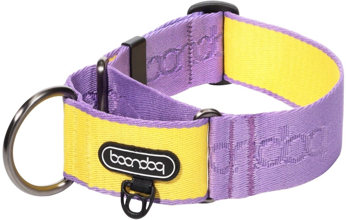 Boondog - Martingale Wide Collar - Purple/Lemon- M