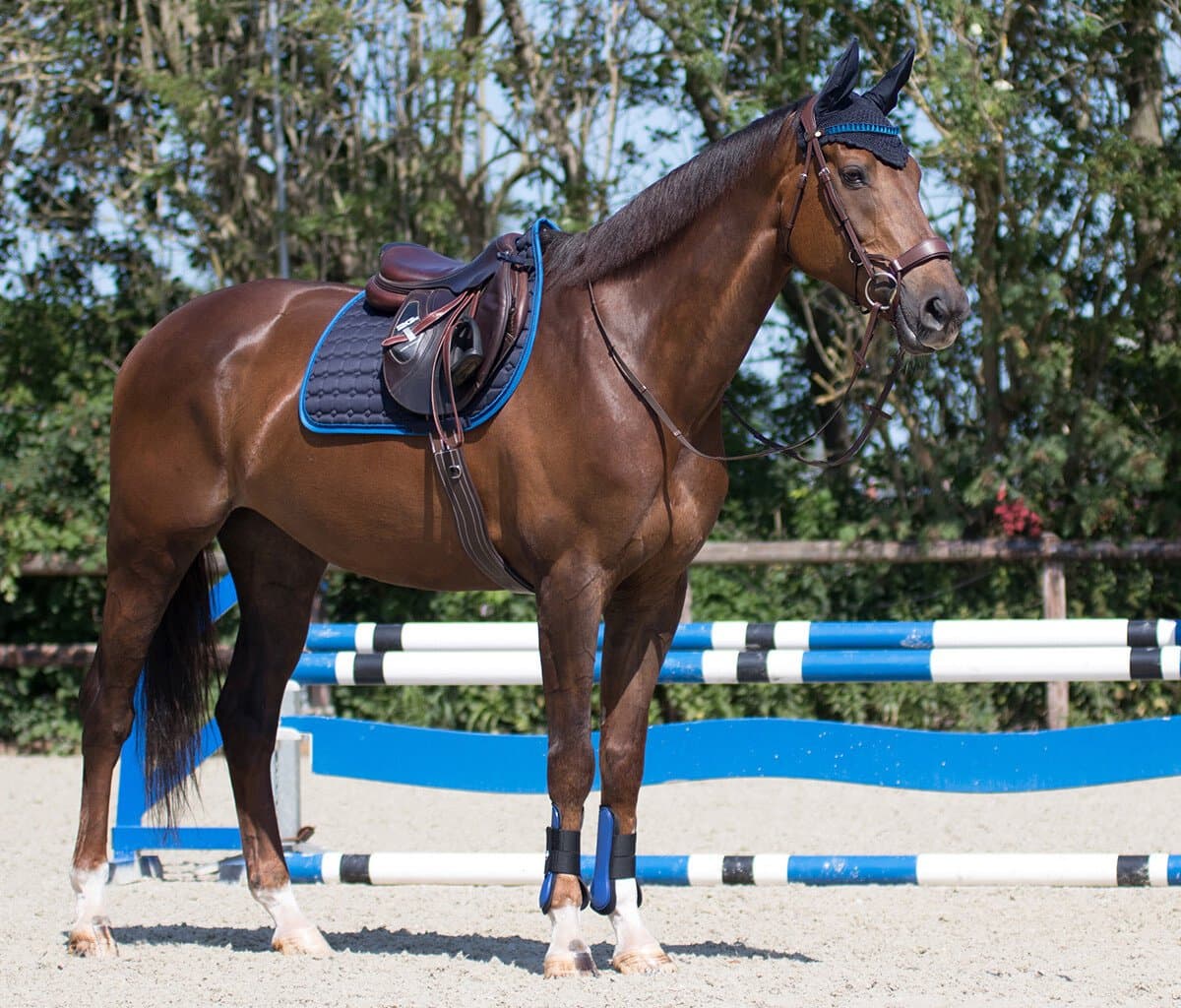 Qhp Zadeldek Qhp Florence Donkerblauw