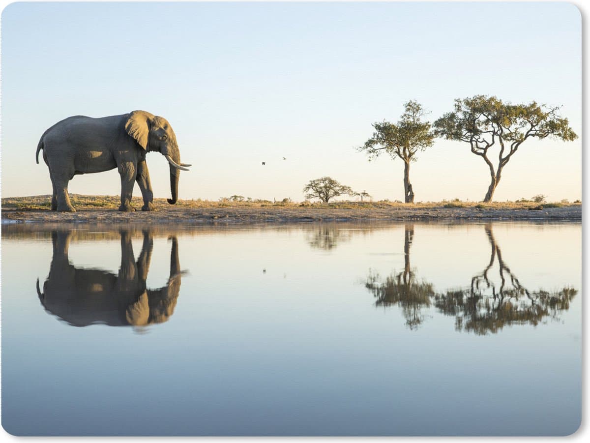 Muismat XXL 80x60 cm - Bureau onderlegger - Bureau mat Olifant - Water - Bomen - Dieren - Natuur - Bureaumat - Gaming mousepad xl - Bureaulegger groot - Computer deskmat