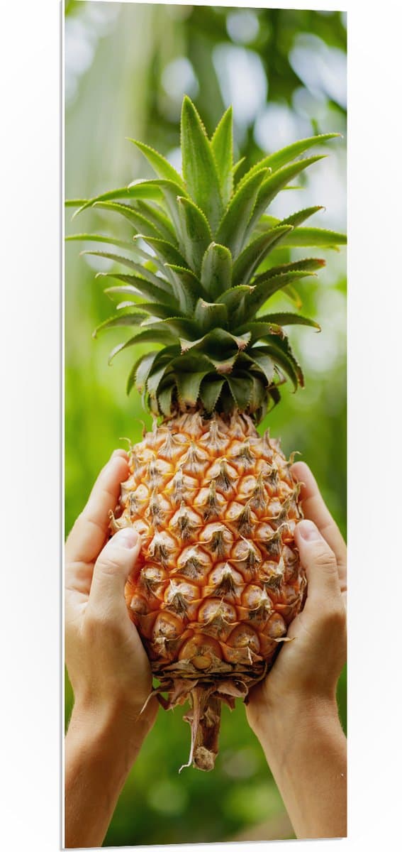 PVC Schuimplaat - Verse tropische Ananas in Mensenhanden - 40x120 cm Foto op PVC Schuimplaat (Met Ophangsysteem)
