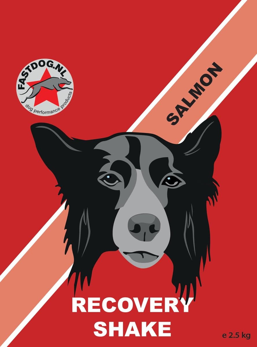 Fastdog Recovery shake Zalm 500gr
