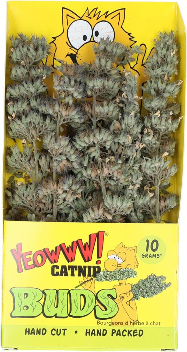 Yeowww! Catnip Buds – Catnip voor katten – Kattenkruid – Kattenspeelgoed – Navulling voor kattenspeeltjes – Katten snacks – Stress verlagend - 10 gram