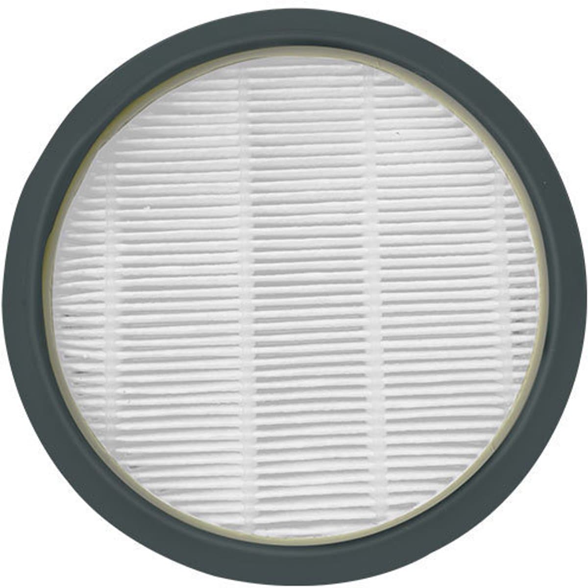 HEPA-stofzuigerfilter geschikt voor Rowenta Swift Power Cyclonic RO29xx, geschikt voor RO2910EA, RO2913EA, RO2915EA, RO2932EA, RO2933EA, RO2957EA, RO2981EA, set van 2