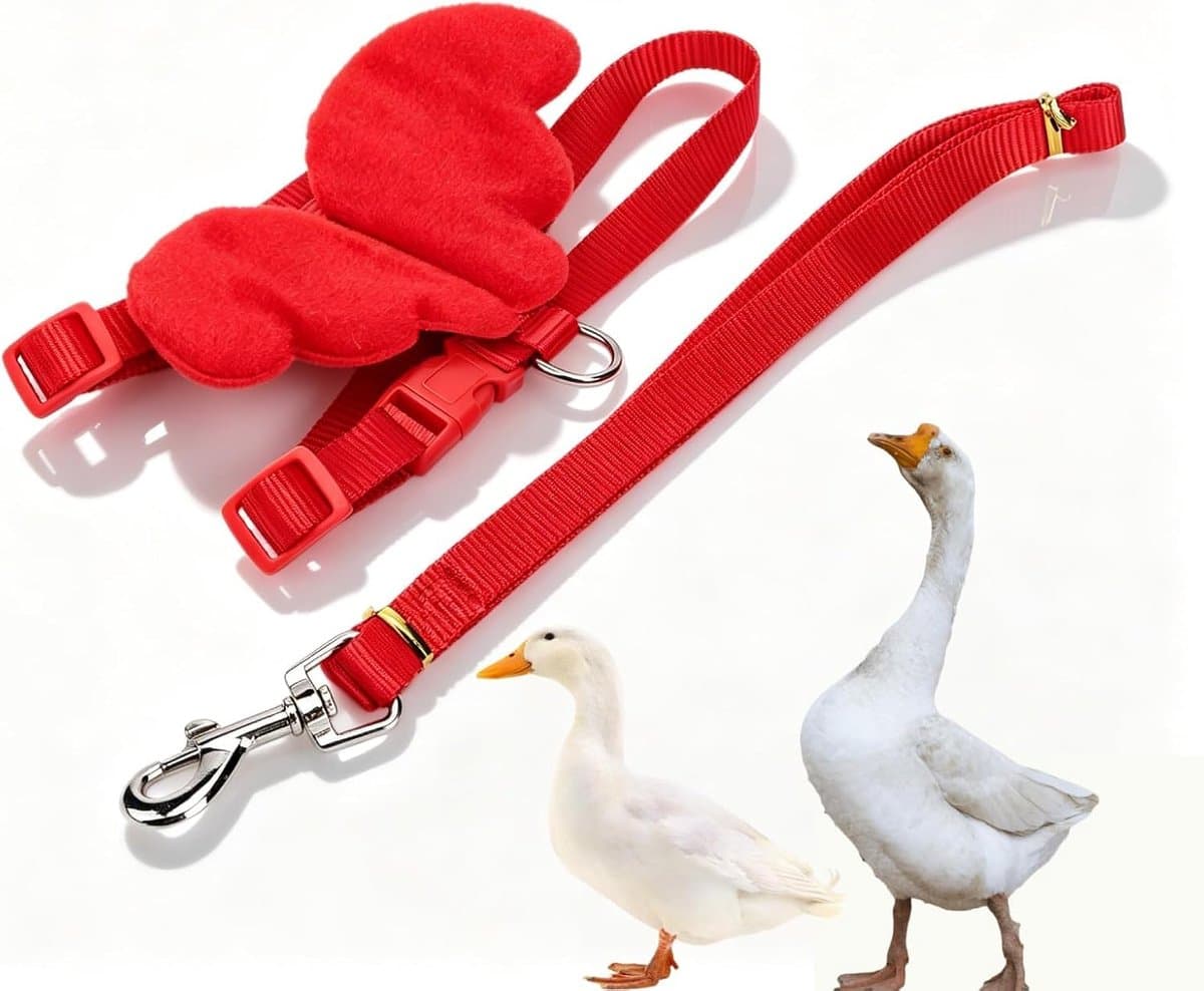 Dailygoods- Harnas Hond - Verstelbaar - Antitrekkend - Borstband - Looplijn - Geschikt voor Eenden/Kippen/Ganzen - Dierenharnas
