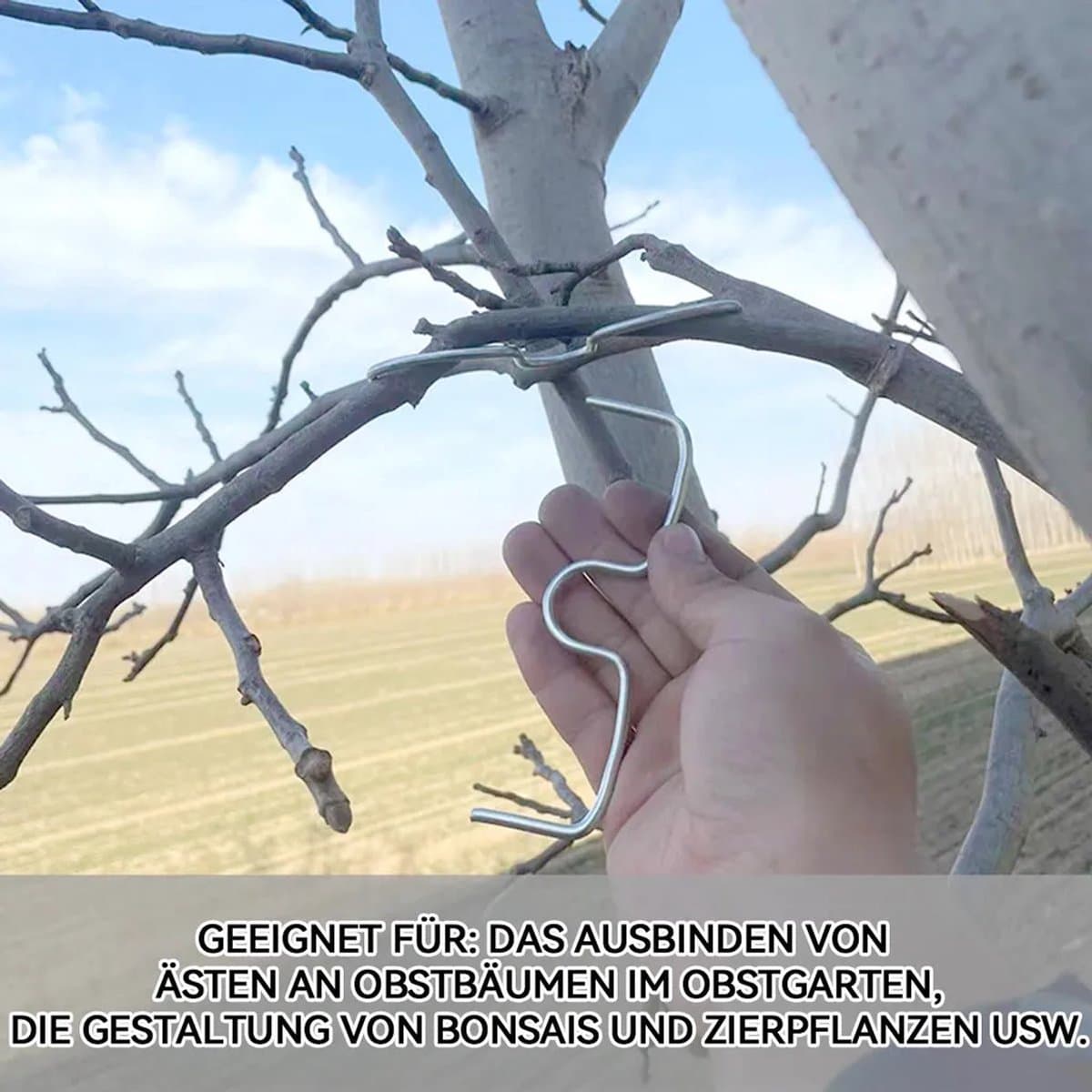 30-delige set geleiders Geschikt voor fruitboomtakken, verkrijgbaar in de maten M8/M10/M13, gemaakt van herbruikbaar gegalvaniseerd ijzerdraad, Geschikt voor het vormgeven van fruitbomen en bonsai.