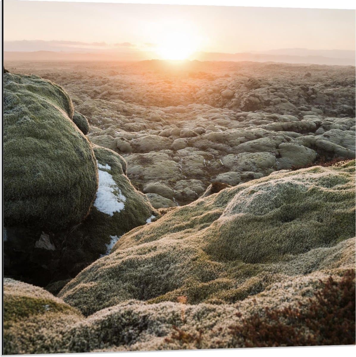Dibond - Mossige Rotsen met Ondergaande Zon - 80x80cm Foto op Aluminium (Met Ophangsysteem)