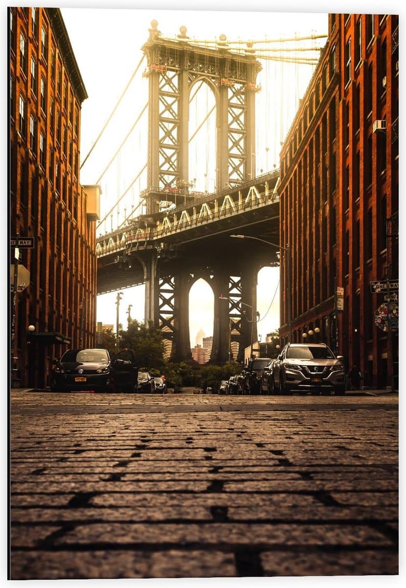 Dibond - Brooklyn Bridge Park - New York - 40x60cm Foto op Aluminium (Met Ophangsysteem)