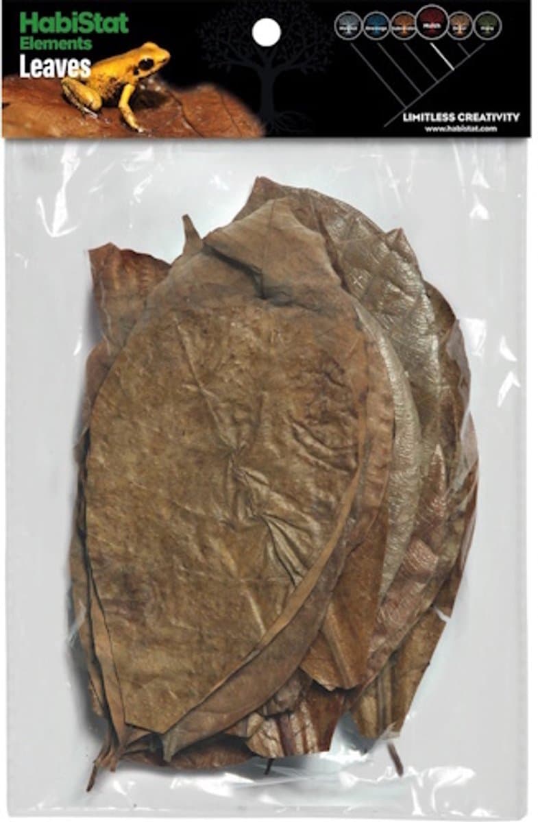 HabiStat Bladeren Mix 30 Stuks voor bioactief terrarium en paludarium
