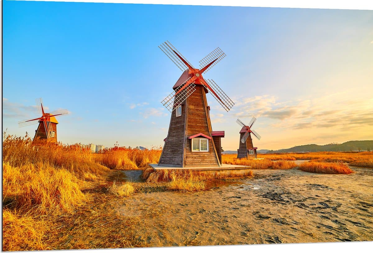 Dibond - Prachtige Klassieke Molens in Droog Landschap - 120x80 cm Foto op Aluminium (Met Ophangsysteem)