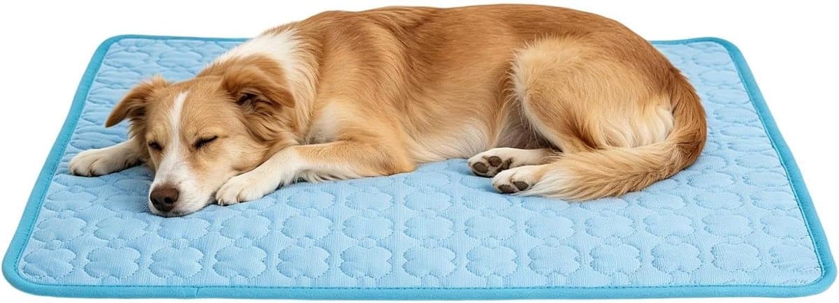 Koelmat Huisdieren - Zomermatras Dieren - Koelte Bieden - Bijt vast - Maat L - Hemelsblauw